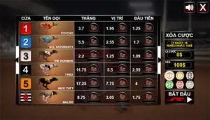 Bật Mí Cách Chơi Game Nhanh Đua Chó Tại Sclub88 Thắng Lớn